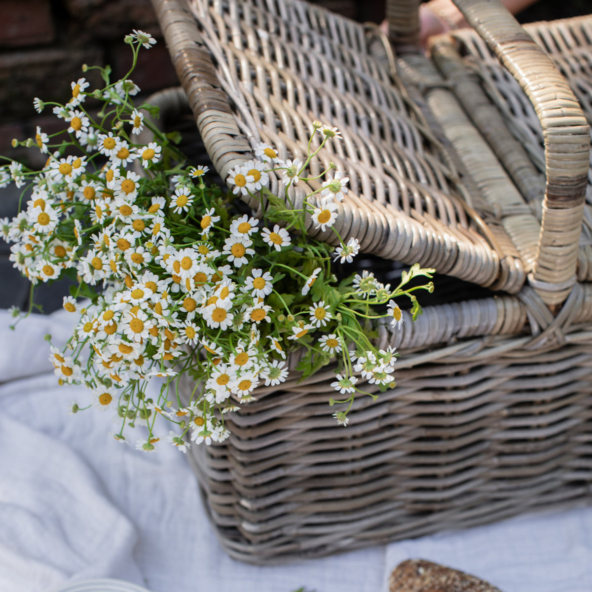 Rattan Picnic Basket - Midspring