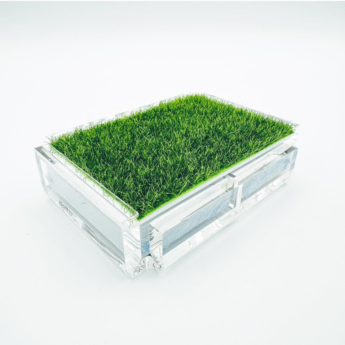 Playing Card Set with Putting Green Grass - Midspring